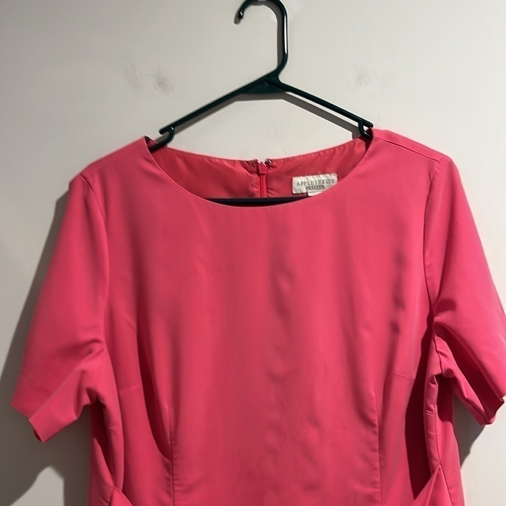 Appleseed’s pink dress. Size 14 petite. - Picture 2 of 5